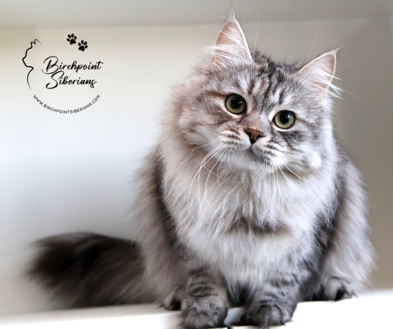 Evelyn - 1 yr old